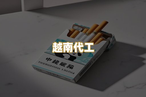 越南代工